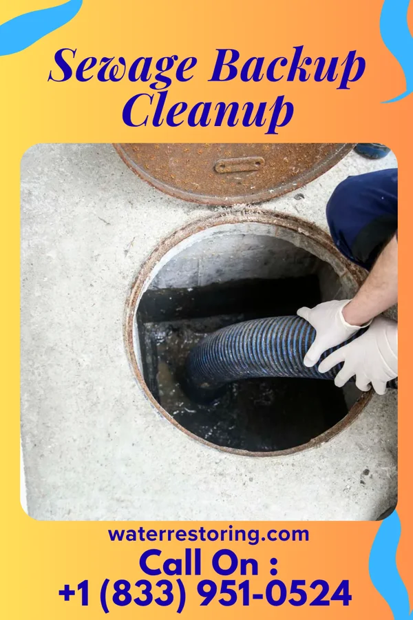 Sewage Backup Cleanup in Salesville, AR