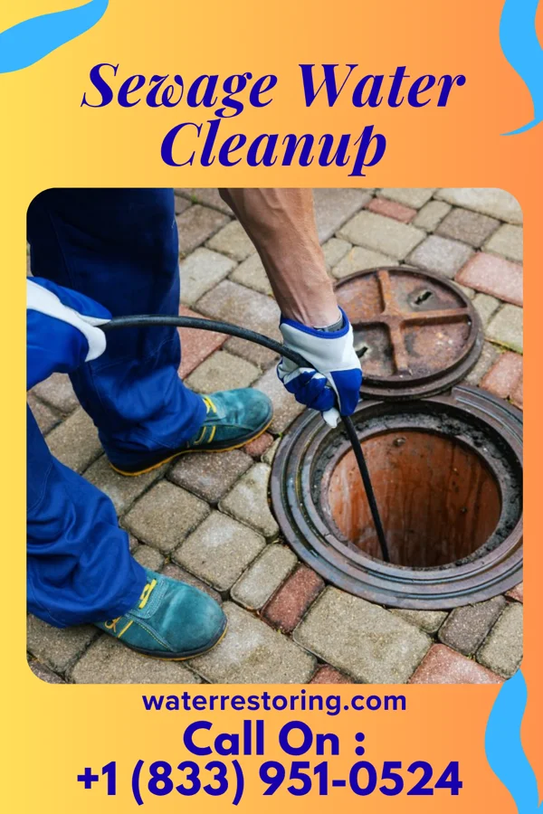 Sewage Water Cleanup in Salesville, AR
